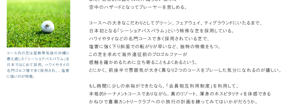 真のリゾート