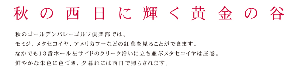 秋の西日に輝く黄金の谷