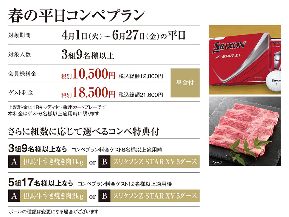 春のコンペプラン